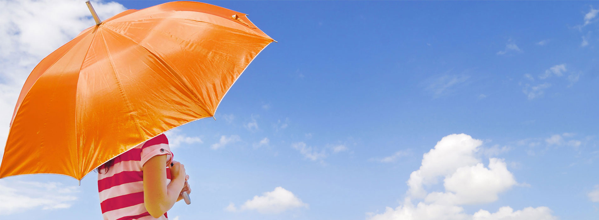 Michigan Umbrella insurance coverage